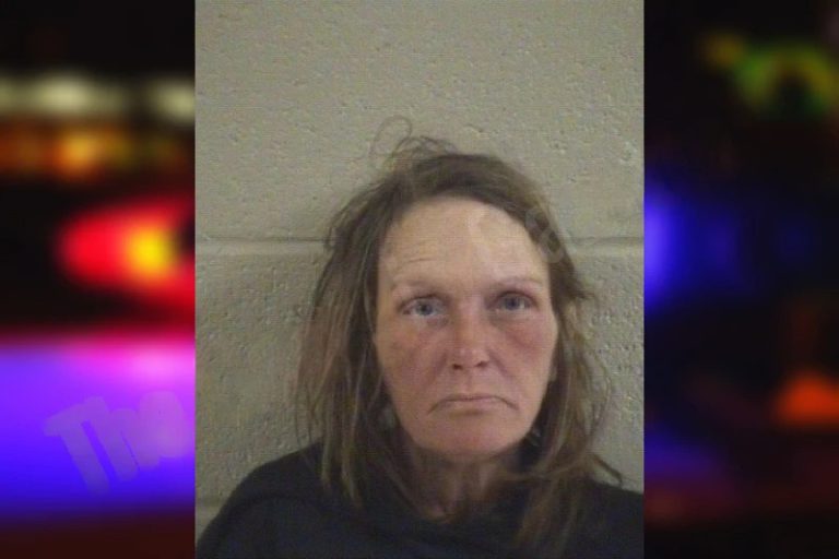Tonya Carpenter mugshot – Whitfield County , Georgia Tonya Carpenter