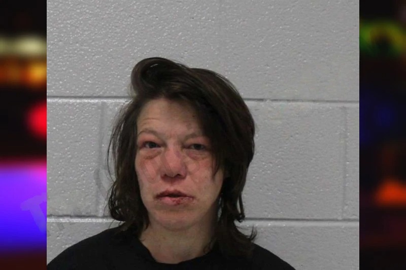 Tonya Gregg Mugshots