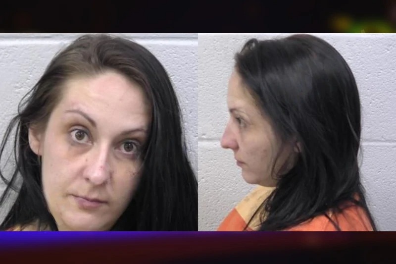 Tonya Jenkins mugshot