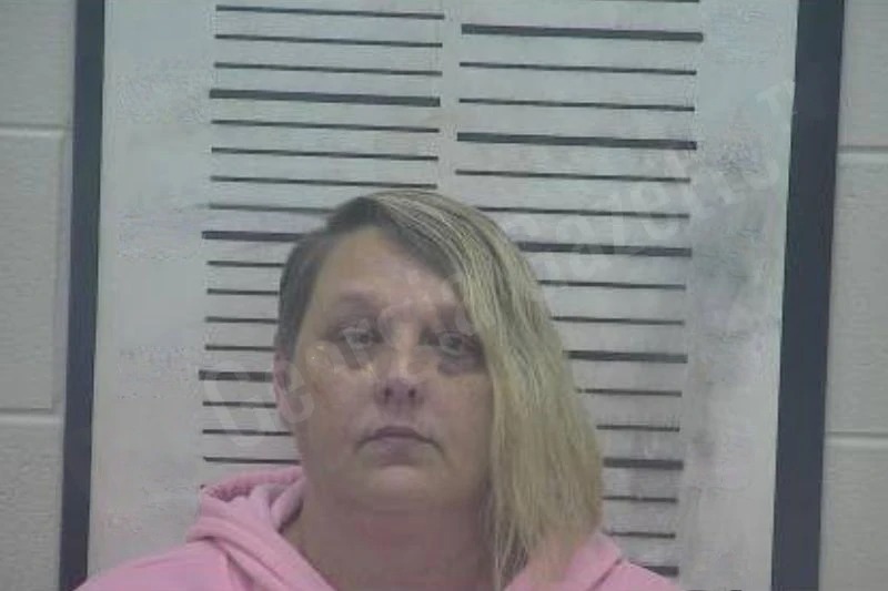 Tonya Merritt mugshot