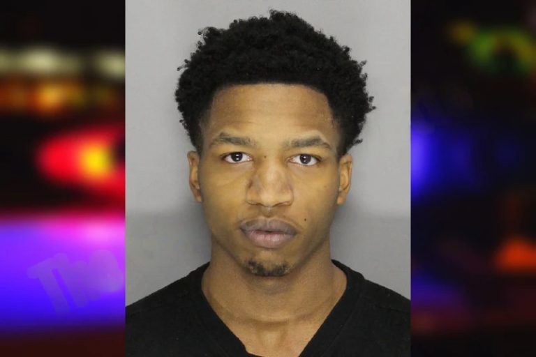 Tori Carmichael mugshot – Whitfield County , Georgia Tori Carmichael