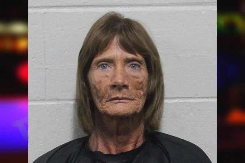 Tracie Flanagan mugshot – Habersham County , Georgia Tracie Flanagan mugshot