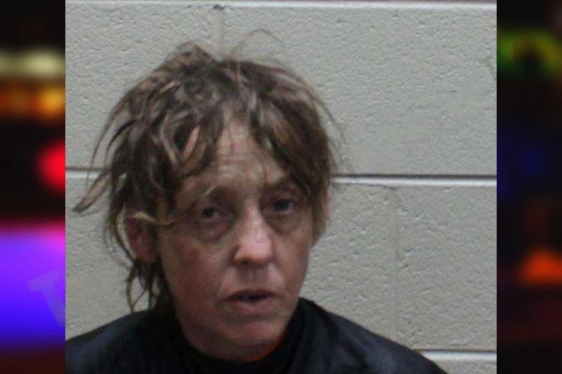 Tracy Brookshire Mugshots