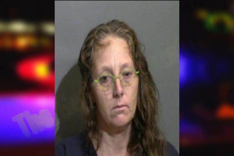 Tracy Hanover mugshot – Glynn County , Georgia Tracy Hanover