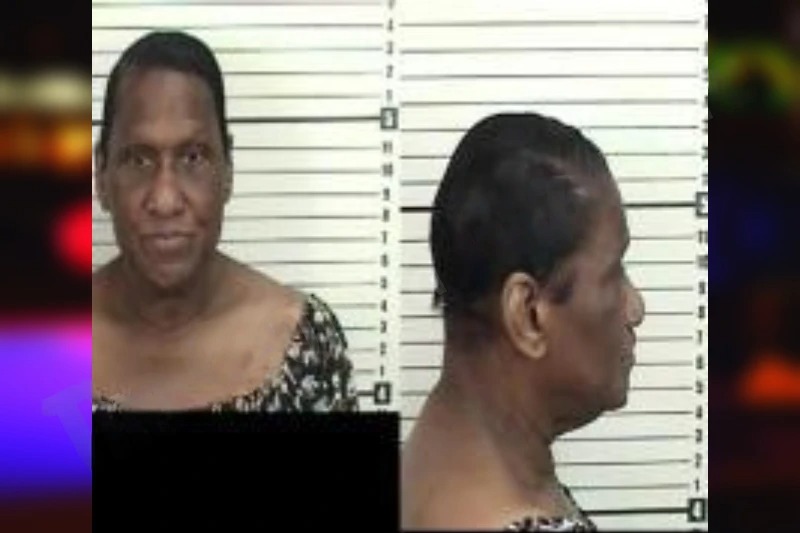 Tracy Nicholson mugshot – Camden County , Georgia Tracy Nicholson mugshot