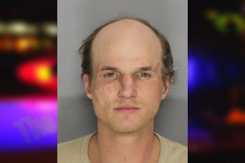 Travis Hayes mugshot