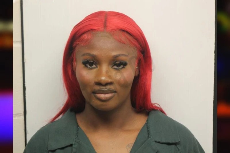 Trayonna Dixon Mugshots