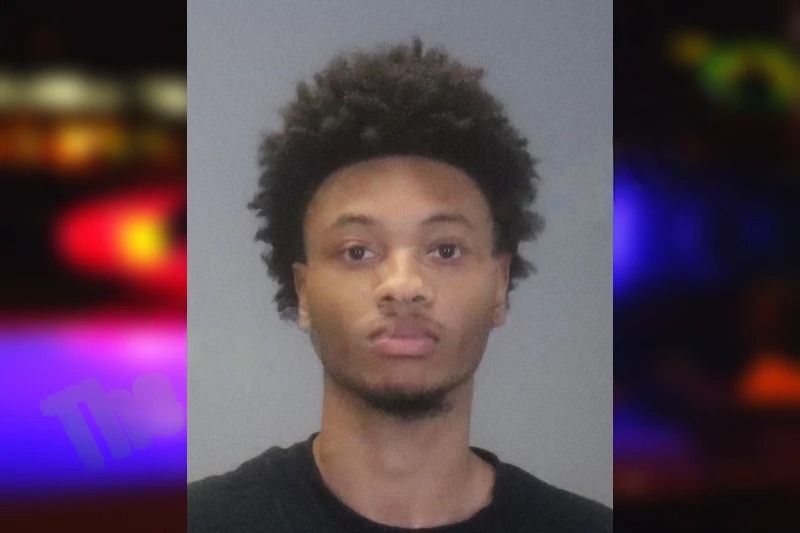 Trentavius Johnson mugshot