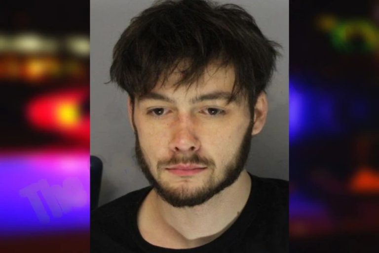 Trevor Southers mugshot – Hall County , Georgia Trevor Southers