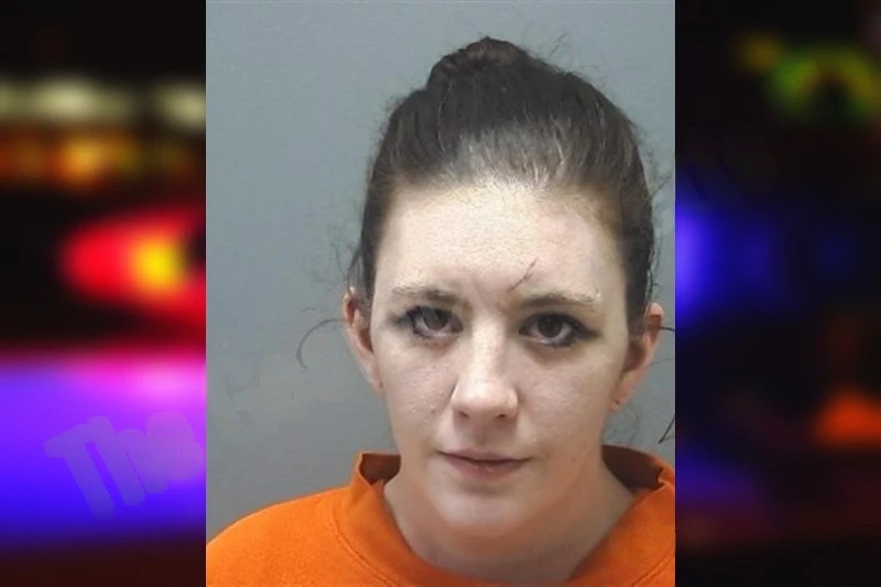 Triche Traylor mugshot – Cherokee County , Georgia Triche Traylor mugshot