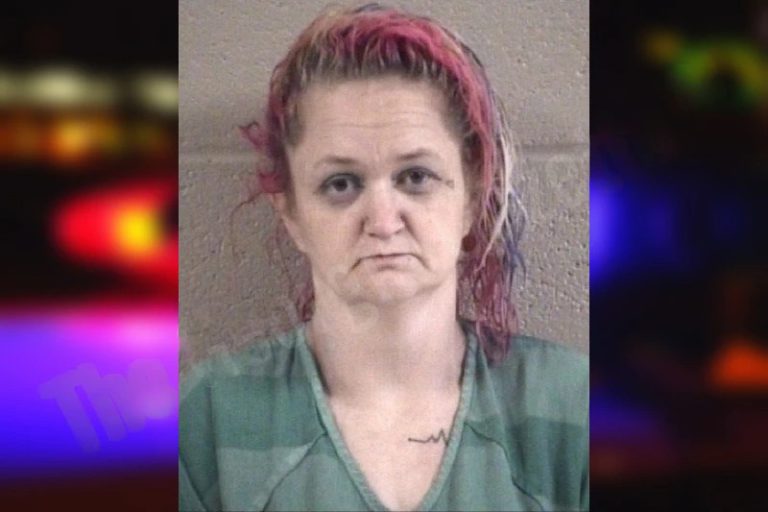 Trisha Mincey mugshot – Whitfield County , Georgia Trisha Mincey