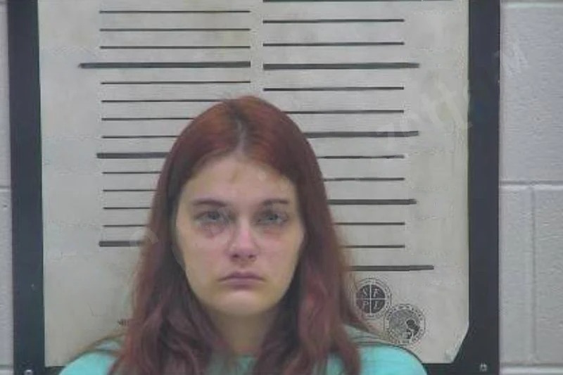 Tristan Grubbs mugshot – Coffee County , Georgia Tristan Grubbs mugshot