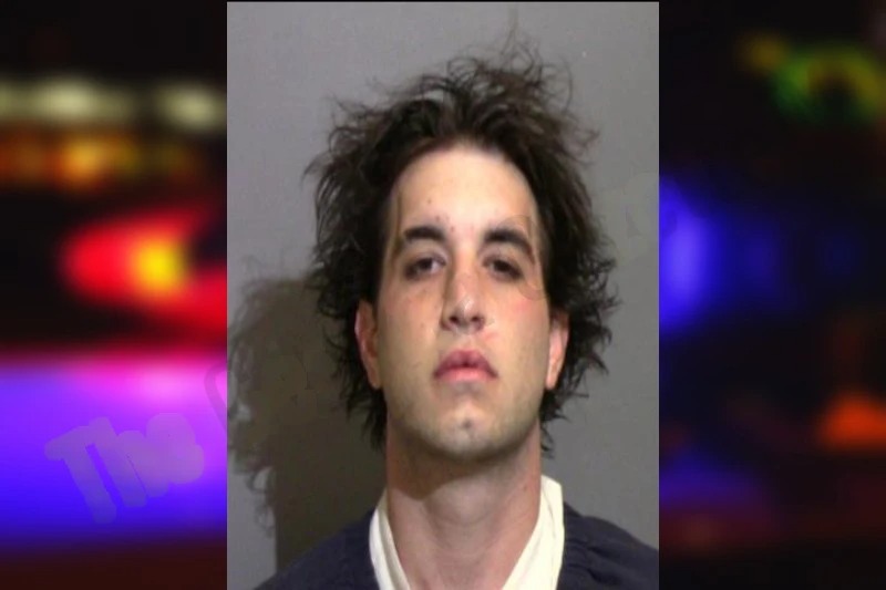 Tristen Waldron Mugshots