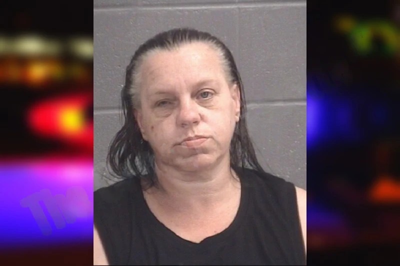 Trudy Tomlin Mugshots