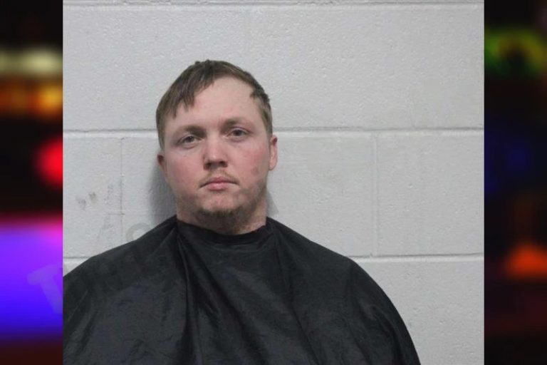 Tyler Williams mugshot – Habersham County , Georgia Tyler Williams