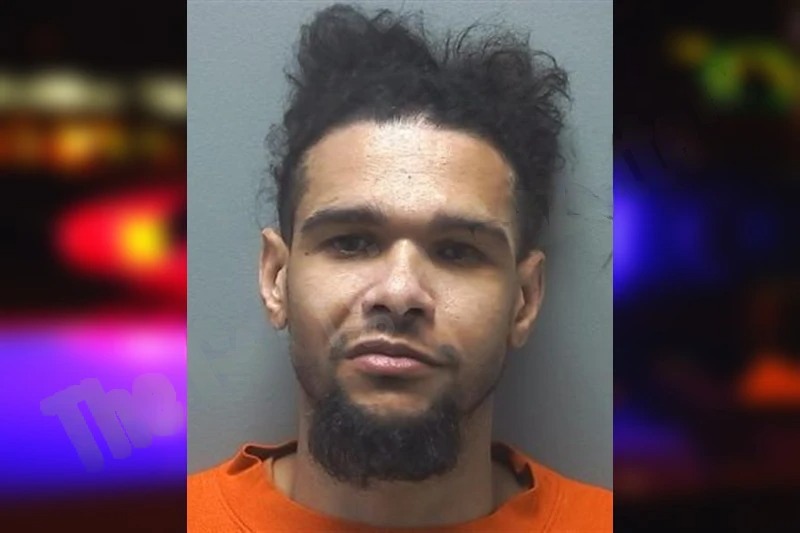 Tyron Giddens mugshot β Cherokee County , Georgia Tyron Giddens mugshot