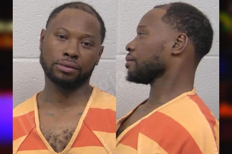 Unice Harbor Mugshots