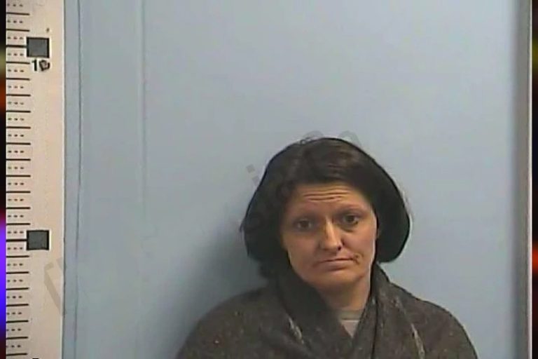 Valerie Estes mugshot – Dawson County , Georgia Valerie Estes