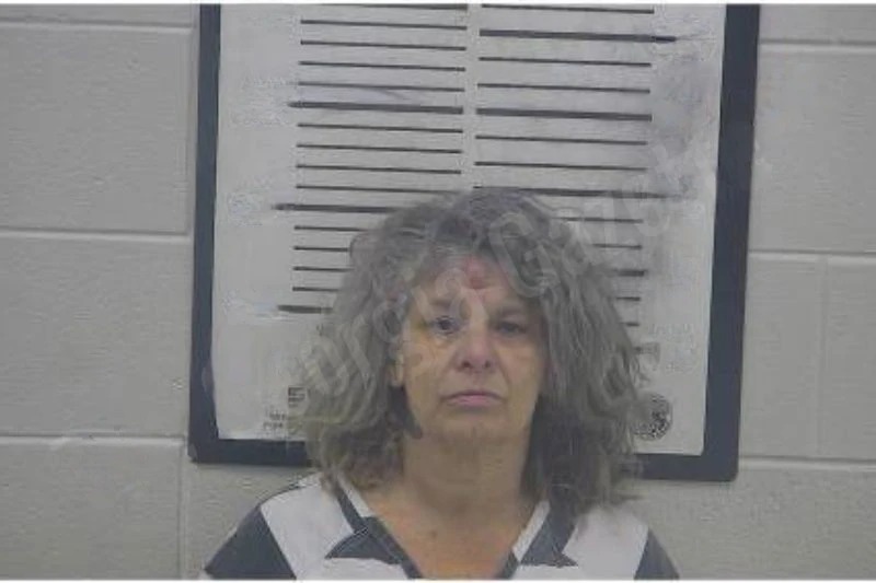Valerie Lammers mugshot