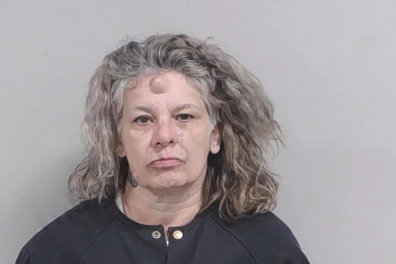 Valerie Lammers Mugshots