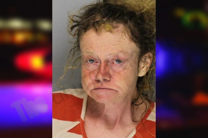 Vanessa Brooks Mugshots