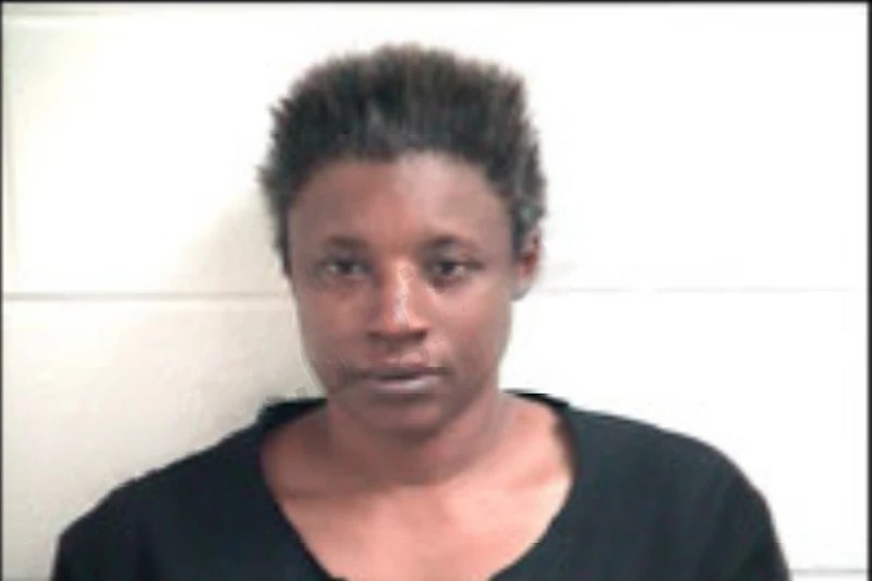 Vanessa Johnson mugshot – Henry County , Georgia Vanessa Johnson mugshot