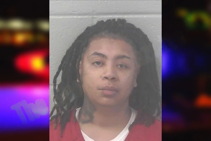 Vanessa Sanchez Mugshots