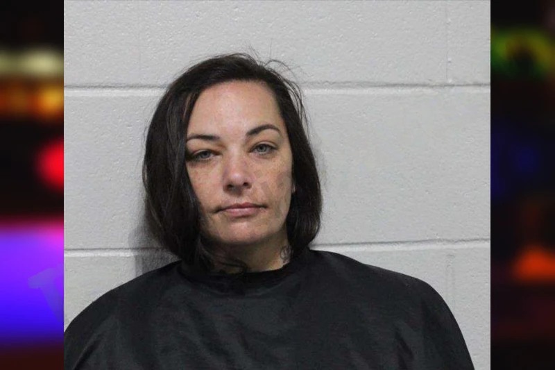 Vanessa Sidhu mugshot