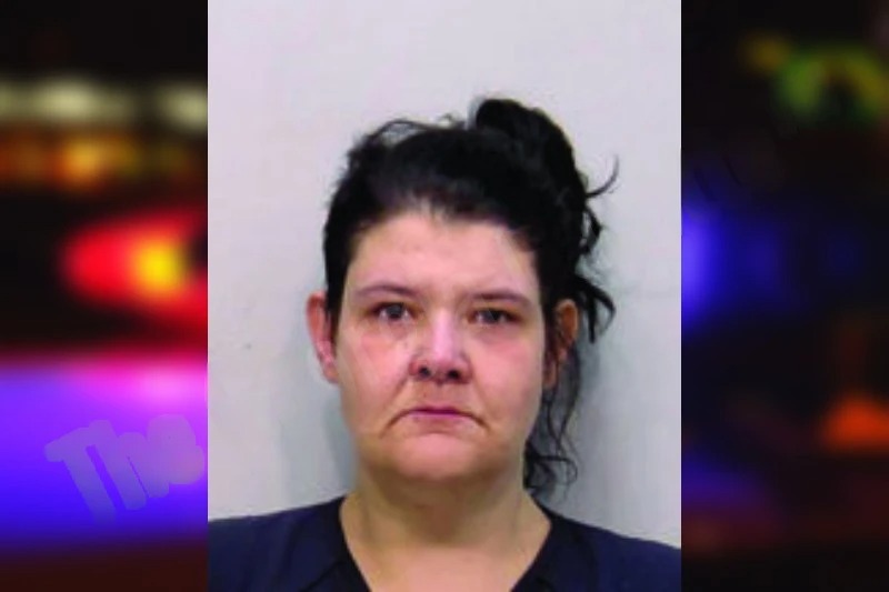 Veilvet Redwine mugshot – Bartow County , Georgia Veilvet Redwine mugshot