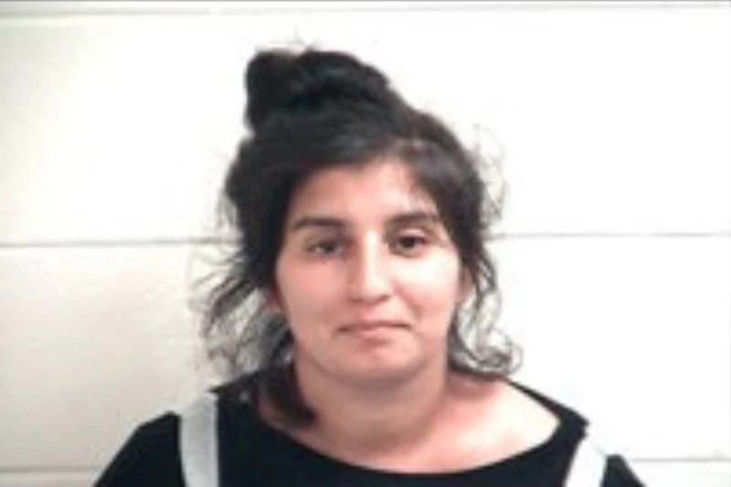 Velcu Simona Mugshots