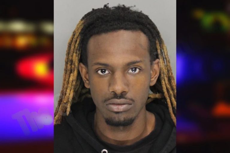 Vexter Sams mugshot – Mcintosh County , Georgia Vexter Sams