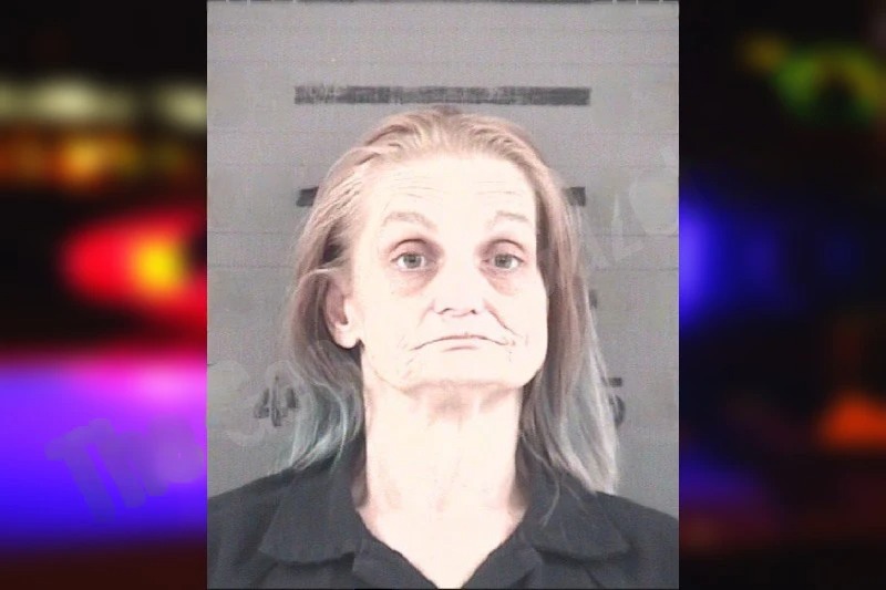 Vickie Donaldson mugshot