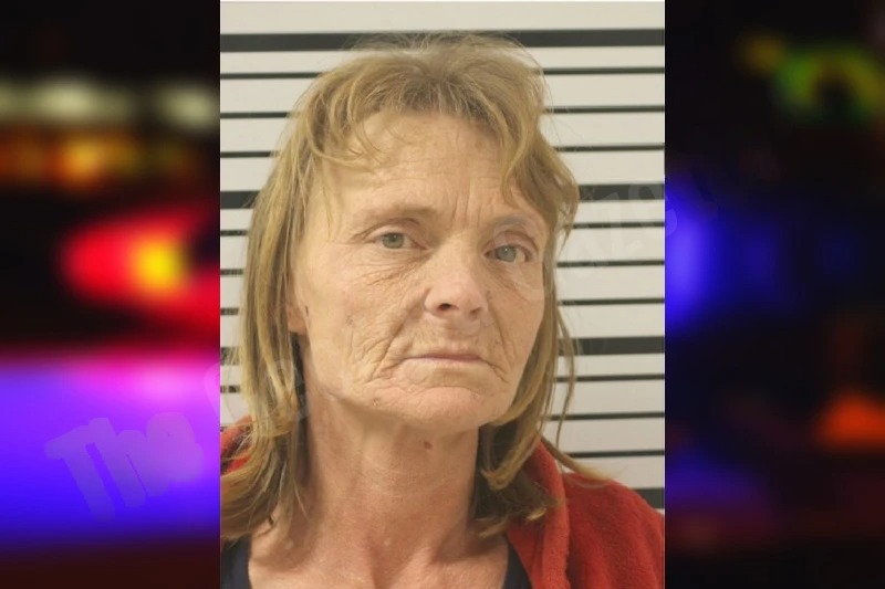 Vickie Jenkins mugshot – Toombs County , Georgia Vickie Jenkins mugshot