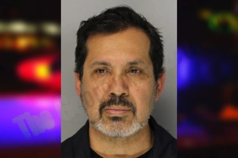 Villanel Garcia mugshot – Hall County , Georgia Villanel Garcia