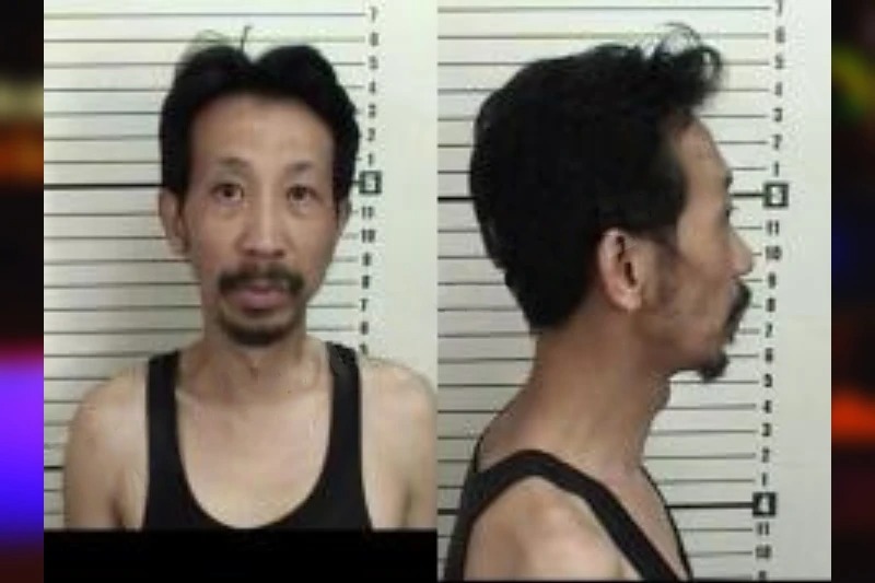 Vinh Dao Mugshots