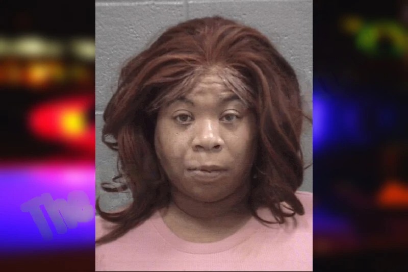 Vivian Drayton mugshot – Columbia County , Georgia Vivian Drayton mugshot