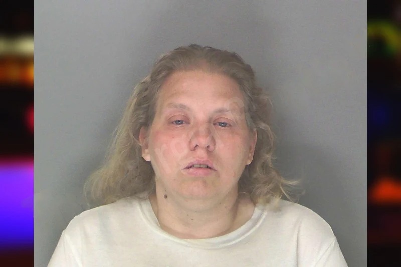 Wendi Milligan Mugshots