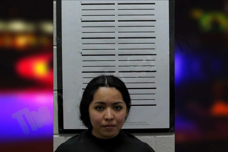 Wendolee Vera-Saldana mugshot – Hart County , Georgia Wendolee Vera-Saldana