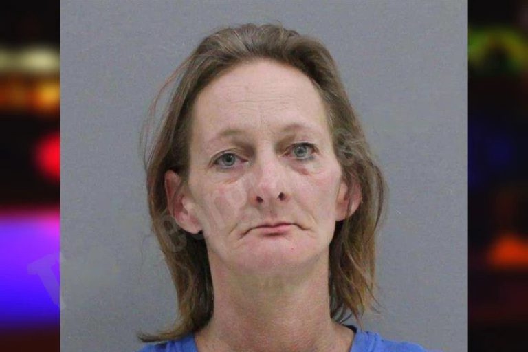 Wendy Goodrich mugshot – Rabun County , Georgia Wendy Goodrich