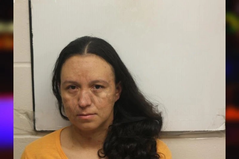 Wendy Ochoa Doblado Mugshots