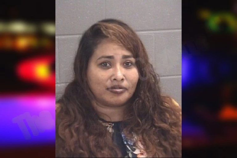 Wendy Ramos-Ramos mugshot – Spalding County , Georgia Wendy Ramos-Ramos