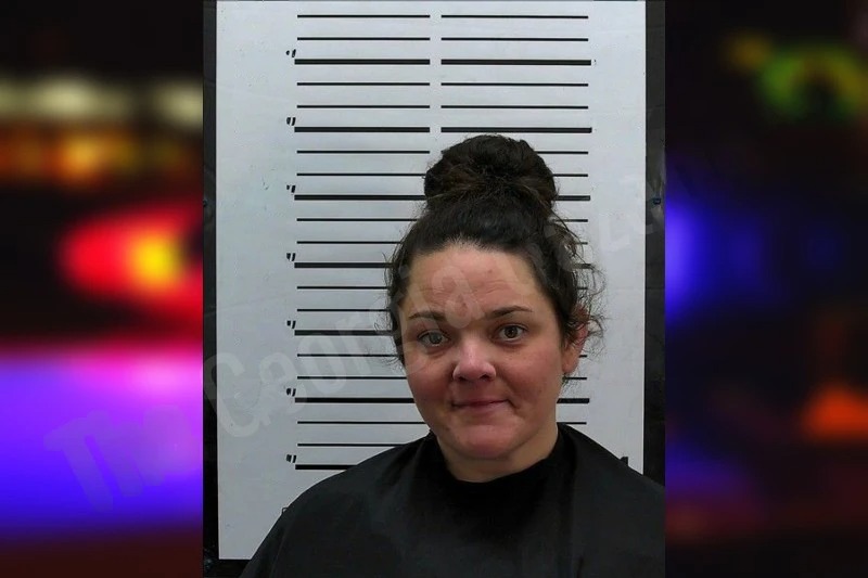 Whitney Webb Mugshots