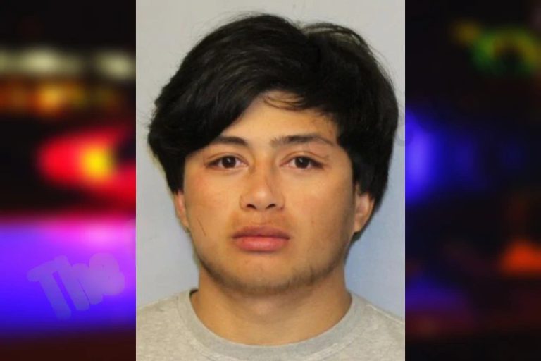 Wilberthe Arellano mugshot – Hall County , Georgia Wilberthe Arellano