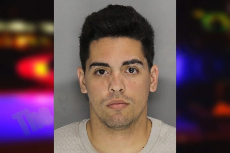 Yenli Martinez mugshot – Cobb County , Georgia Yenli Martinez