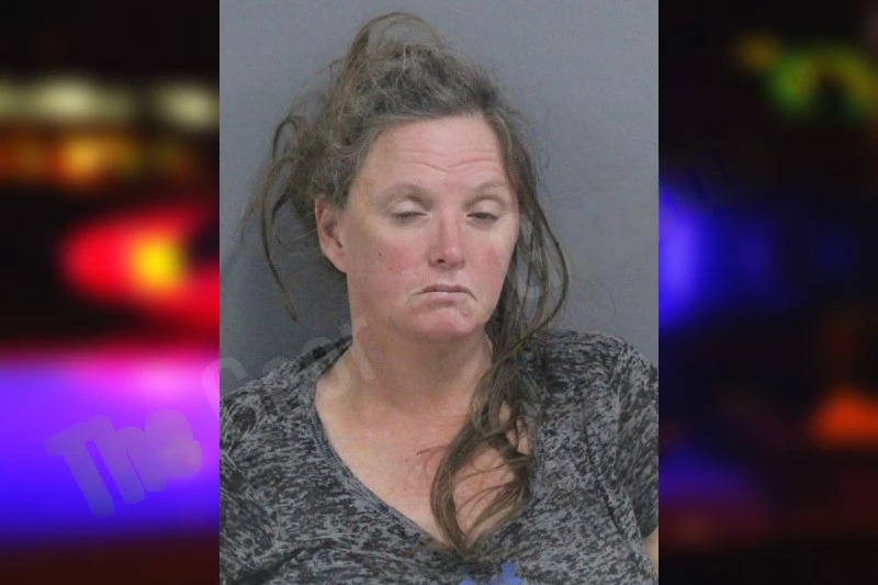 Yolanda Walker Mugshots