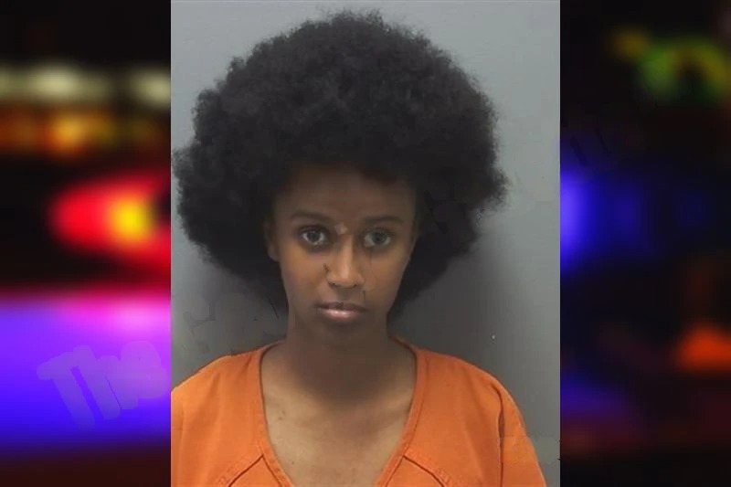 Yordanos Gebrewold Mugshots