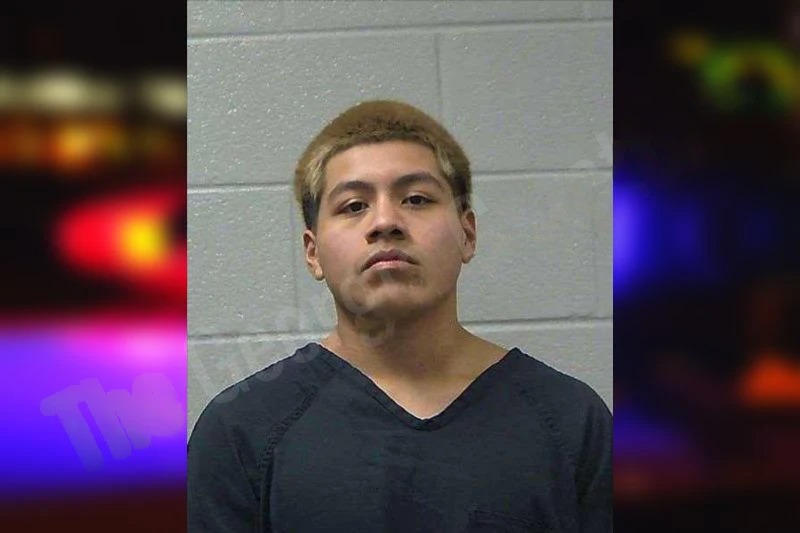 Yovani Lucas-Domingo Mugshots