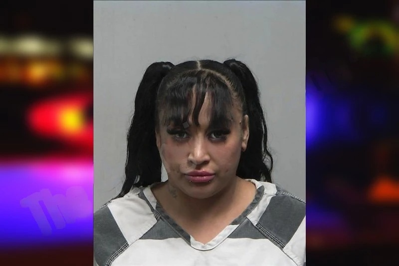 Yvette Roca Mugshots