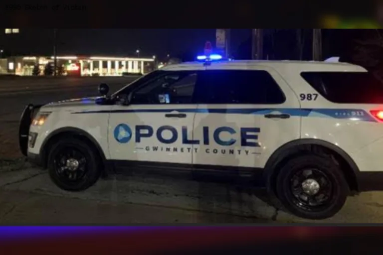 Man Killed After Being Struck by Gwinnett County Police Car, Officials Say