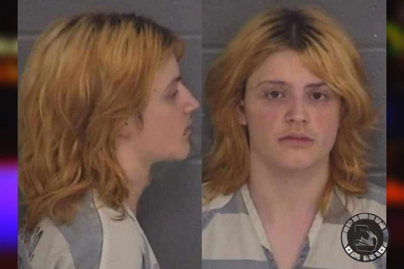 Accused Apalachee High School Shooter Seeks to Have Trial Moved Out of Barrow County Mugshots